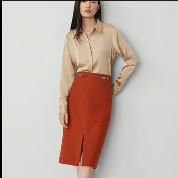 ANN TAYLOR PENCIL SKIRT BASKETWEAVE CHAIN LINK SLIT SKIRT FRESH CLAY RUST ORANGE - Picture 3 of 9